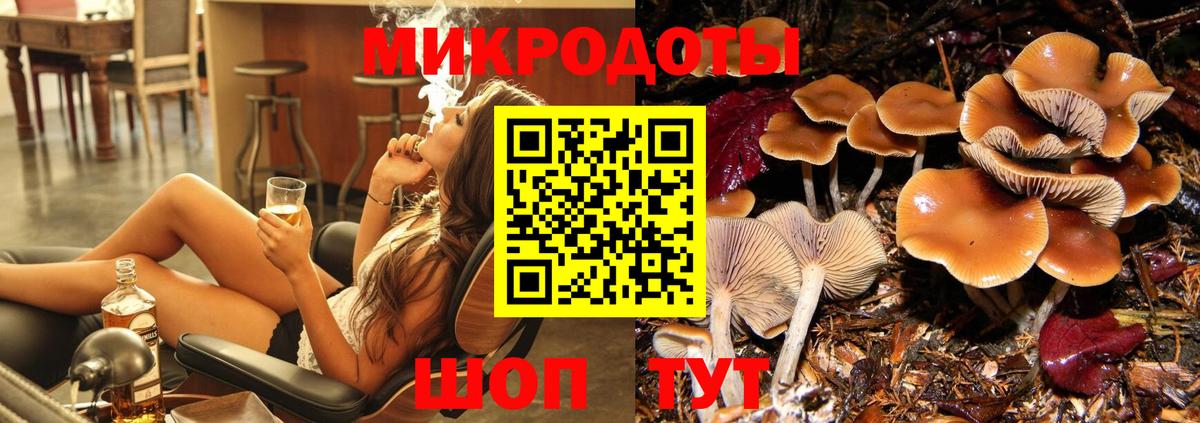 Псилоцибиновые грибы Psilocybine cubensis Ртищево