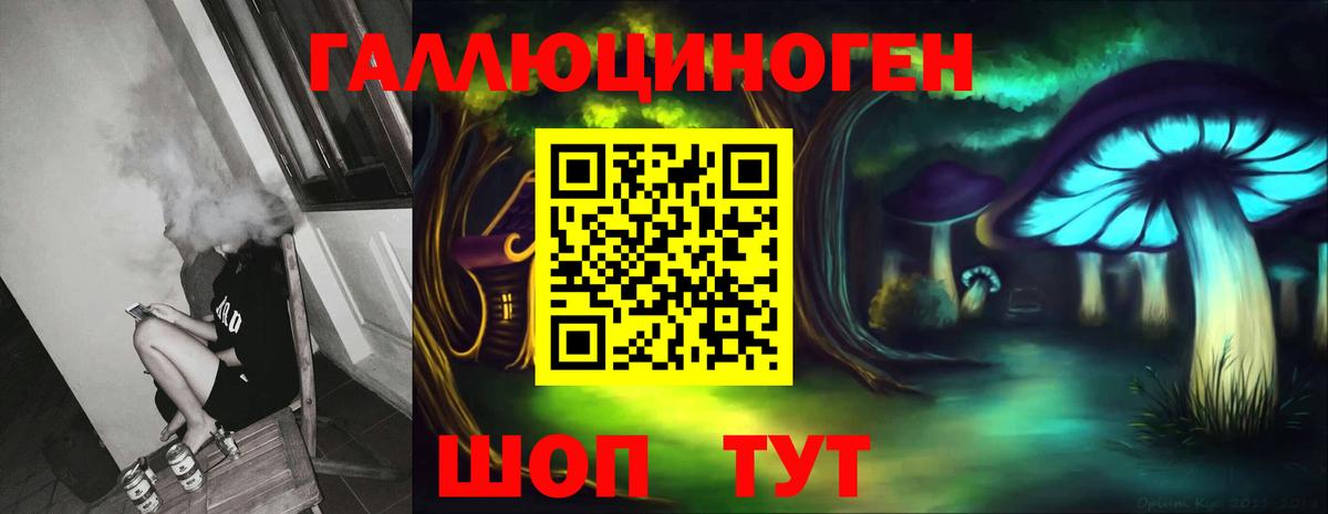 Галлюциногенные грибы Psilocybe  Вход с VPN  Галлюциногенные грибы прущие грибы  Ртищево 